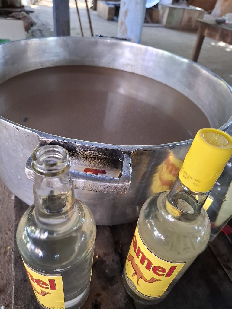 Bebidas tradicionais das Festas de Santo – foto 7