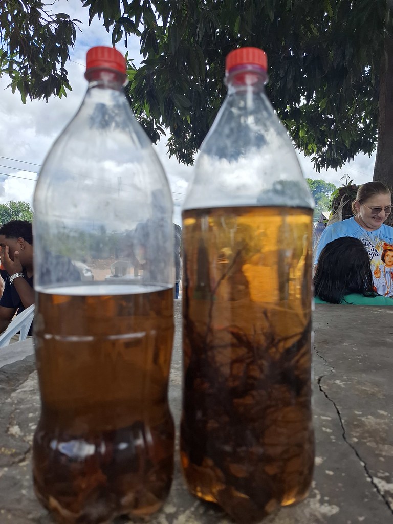 Bebidas tradicionais das Festas de Santo – foto 12