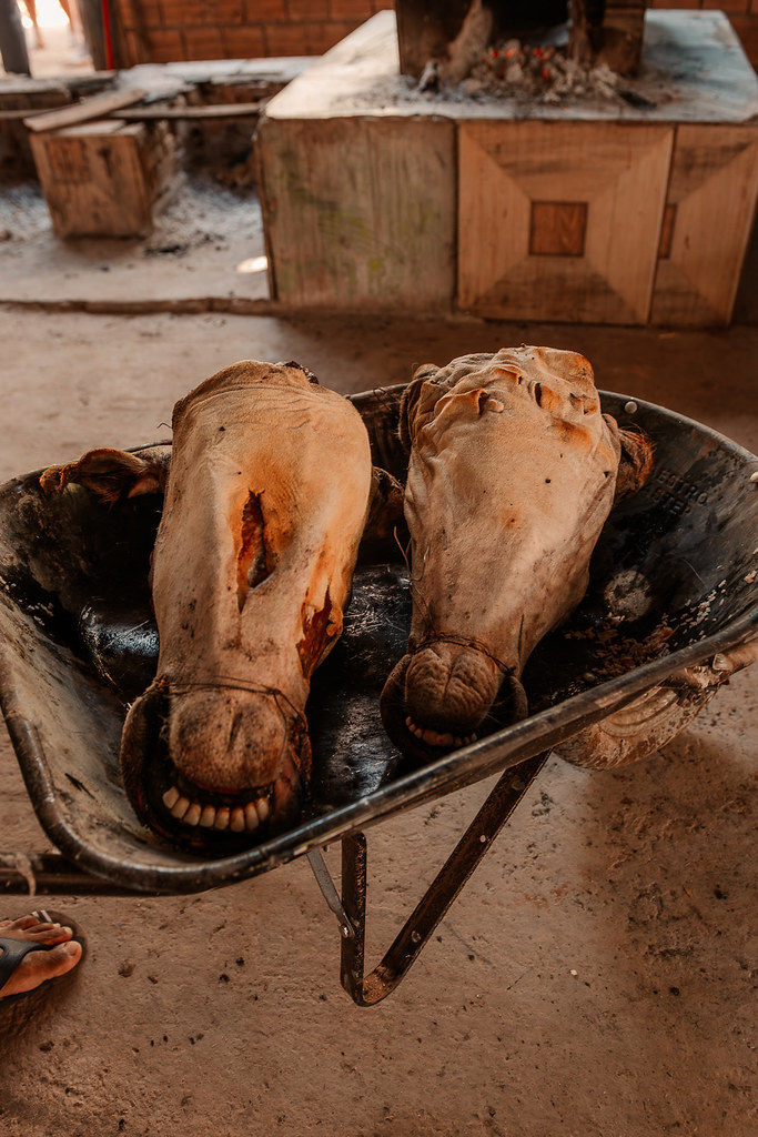 Cabeça-de-boi assada – foto 1
