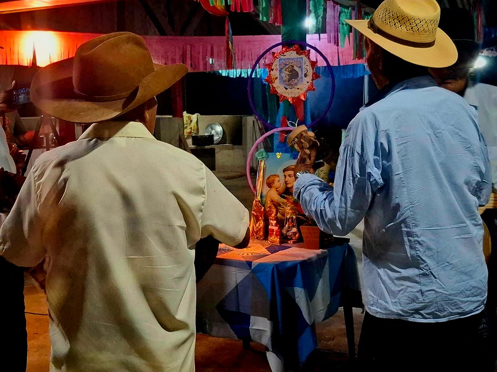 Cururu – foto 26