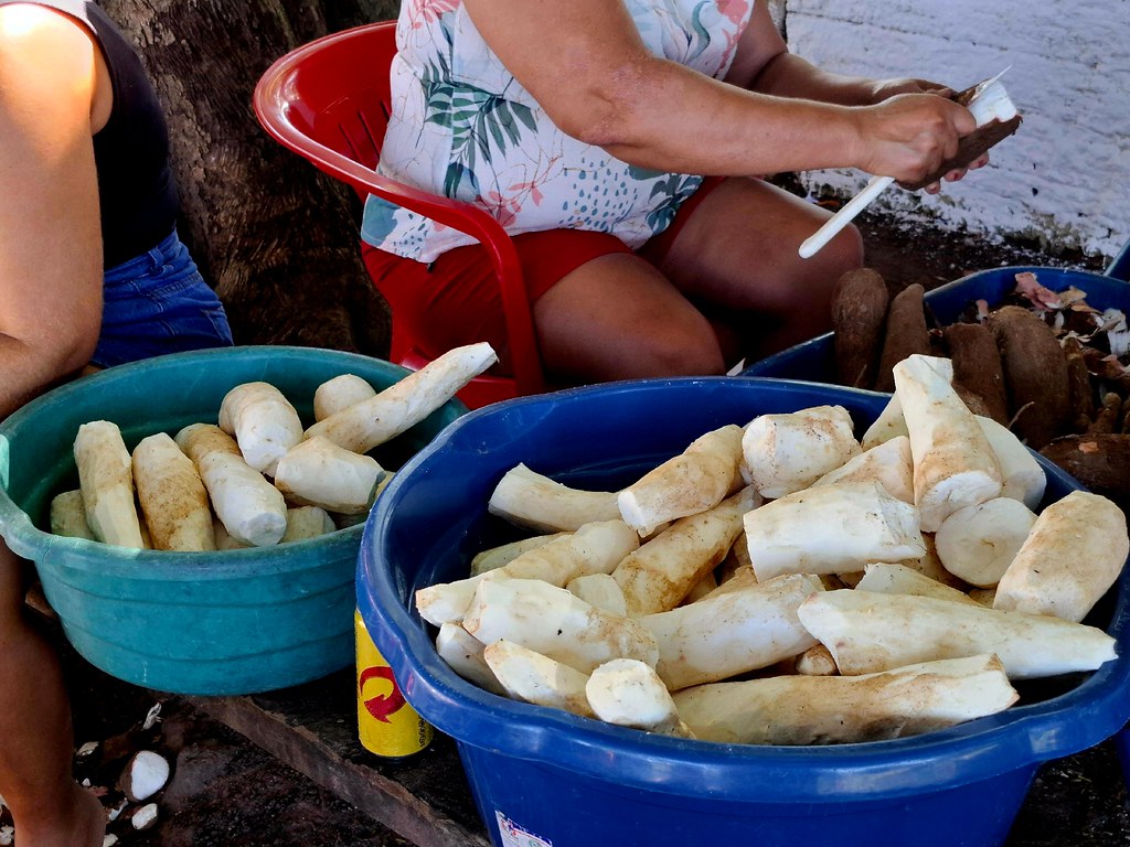 Ensopadão de Carne com Mandioca – foto 24
