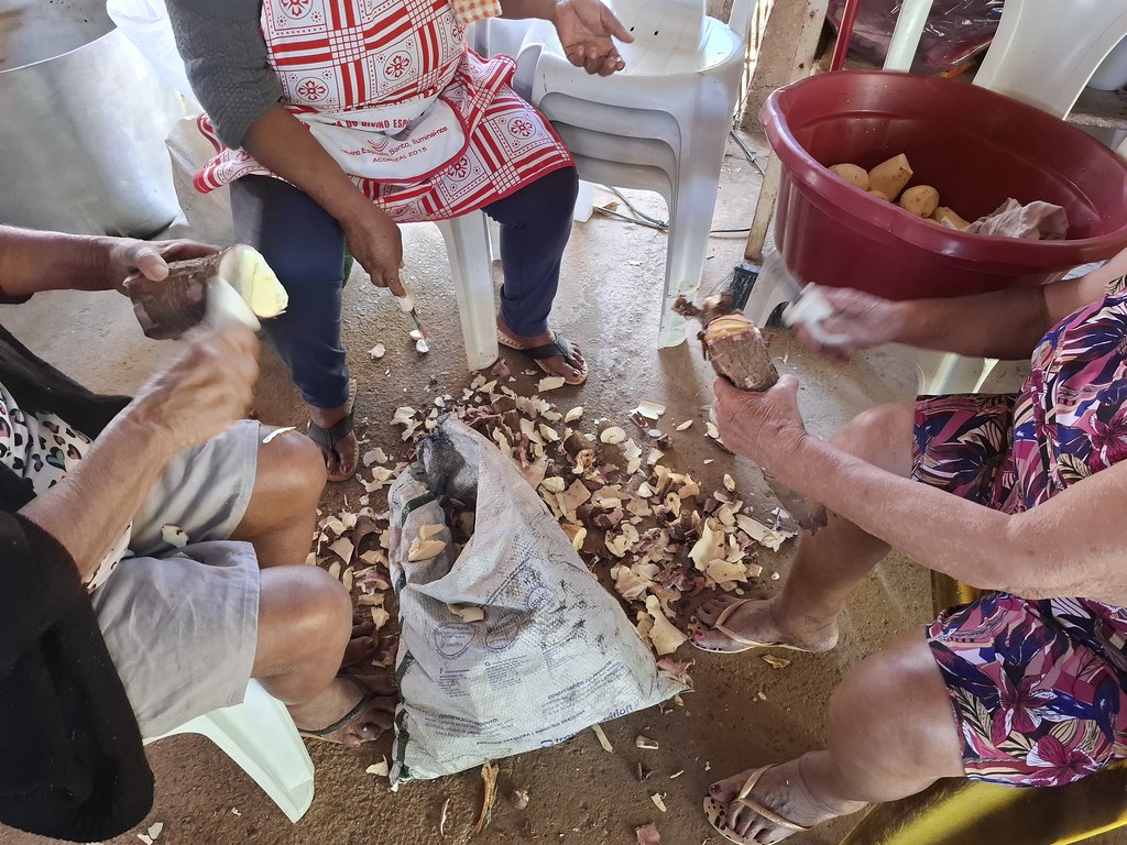 Ensopadão de Carne com Mandioca – foto 26