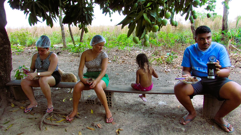 O Quintal – foto 7