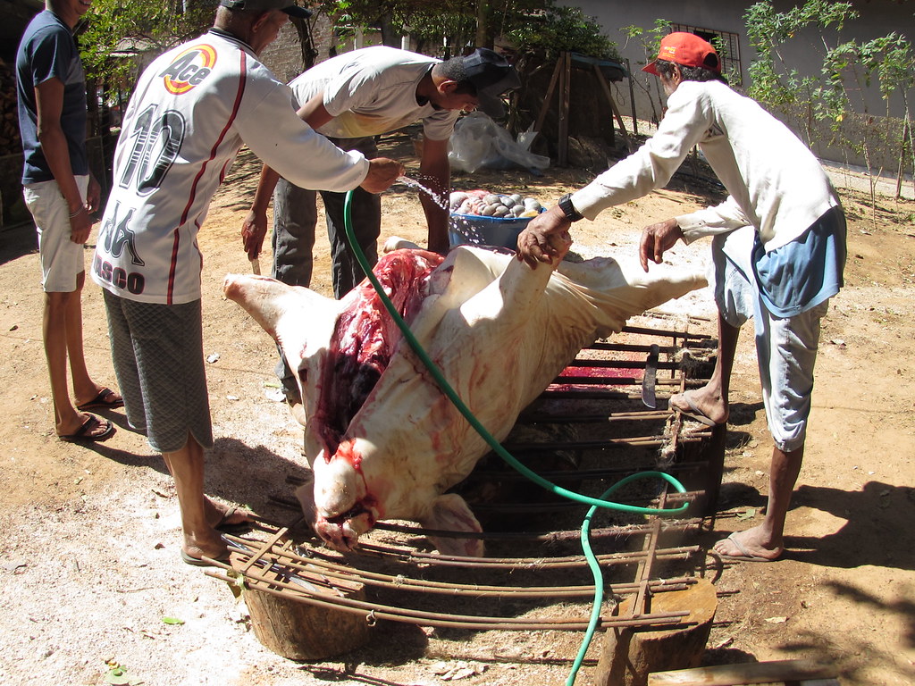 O Quintal – foto 34
