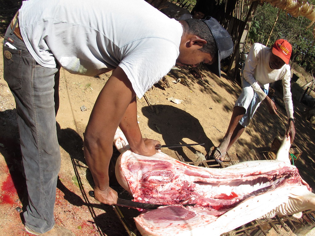 O Quintal – foto 35