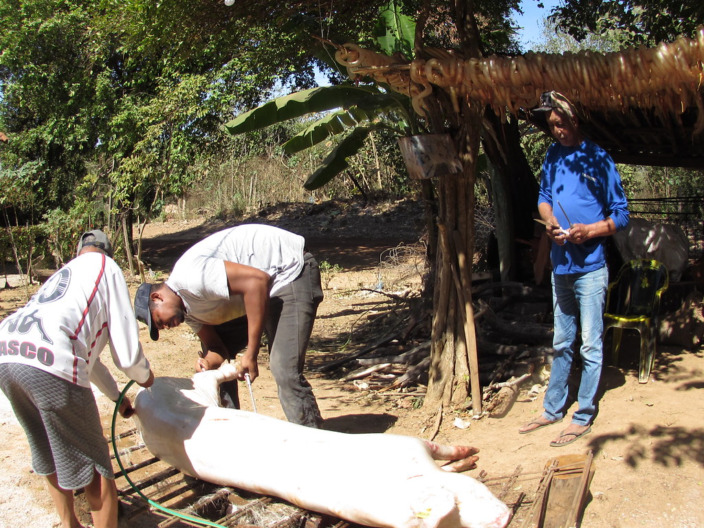 O Quintal – foto 36