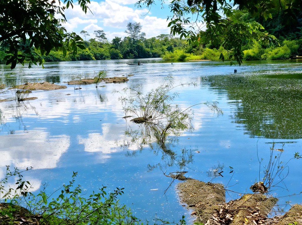 O rio – foto 5
