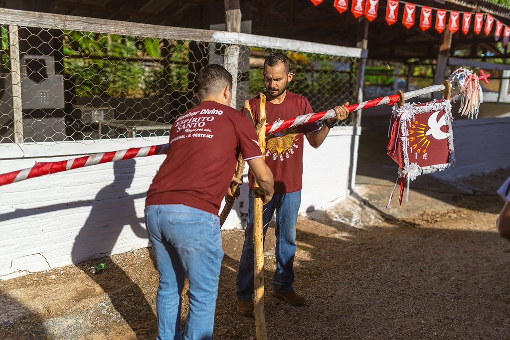 Ritual de descida do mastro nas festas de santo – foto 14