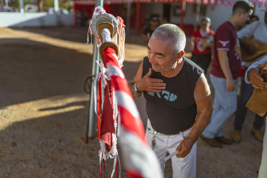 Ritual de descida do mastro nas festas de santo – foto 23