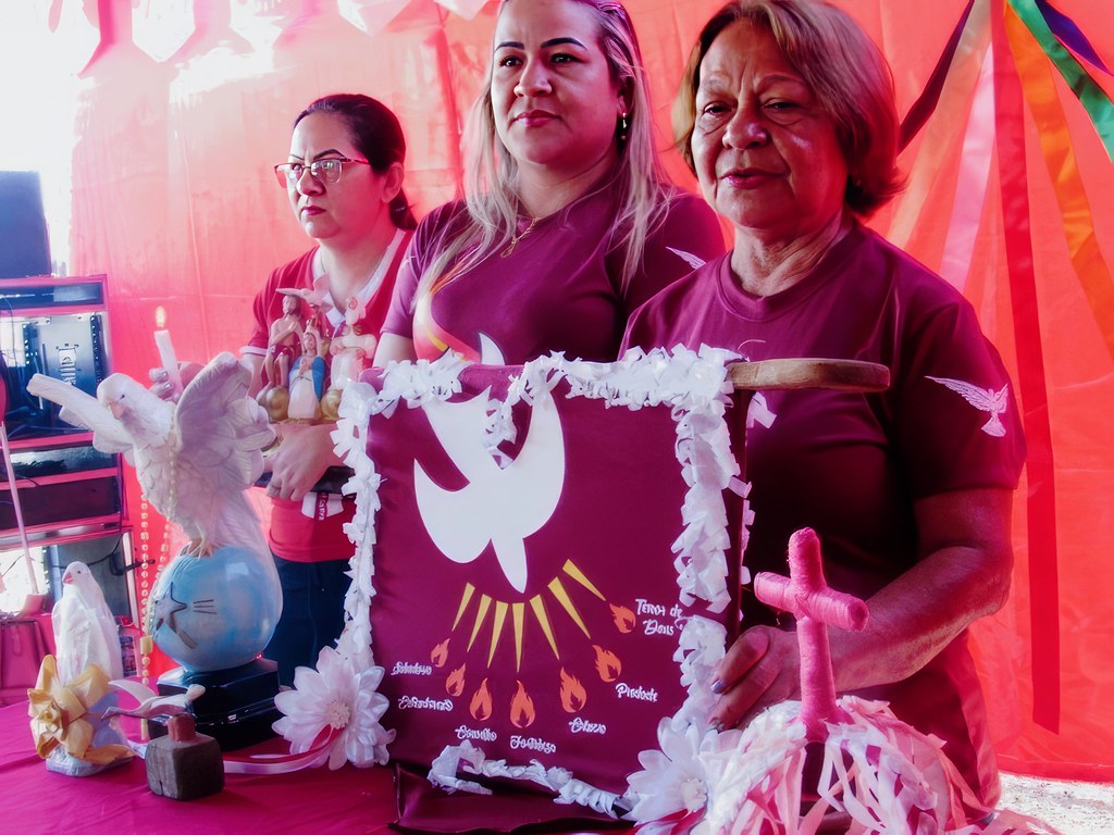 Ritual de descida do mastro nas festas de santo – foto 37