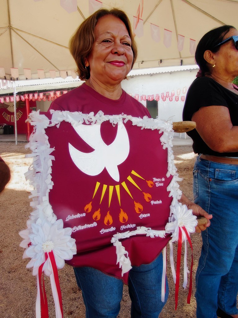 Ritual de descida do mastro nas festas de santo – foto 40