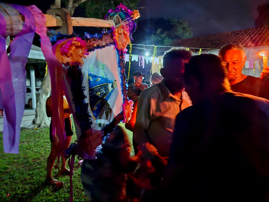 Ritual de Levantamento do Mastro nas festas de santo – foto 3